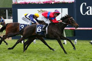 Verry Elleegant (NZ) claiming victory in the G3 New Zealand Bloodstock Etheral Stakes. 